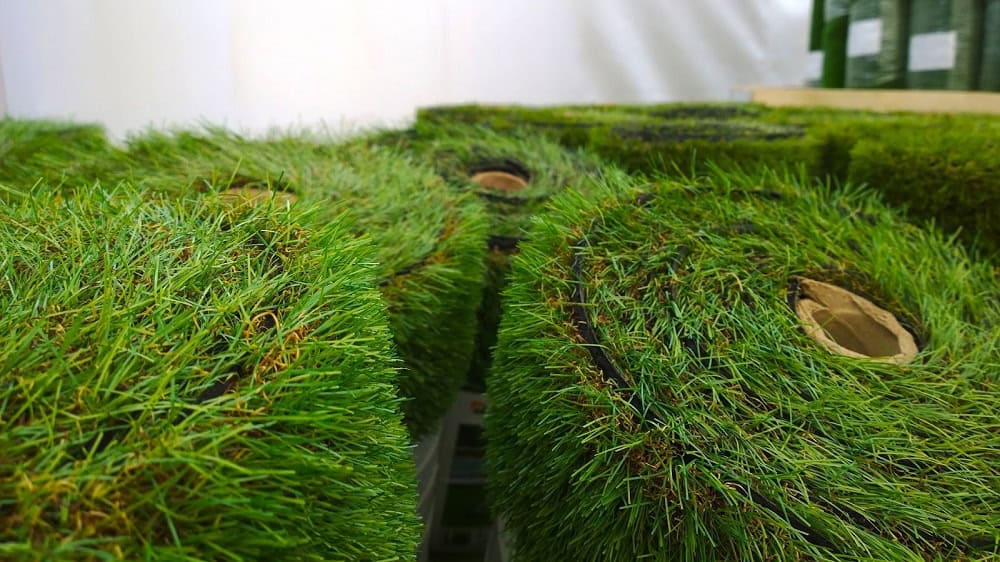Artificial Grass in Geelong